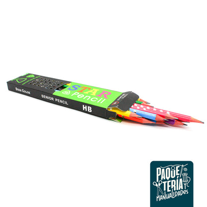 LÁPICES GRAFITO CON GOMA DE BORRAR - SET 12 LÁPICES MINA